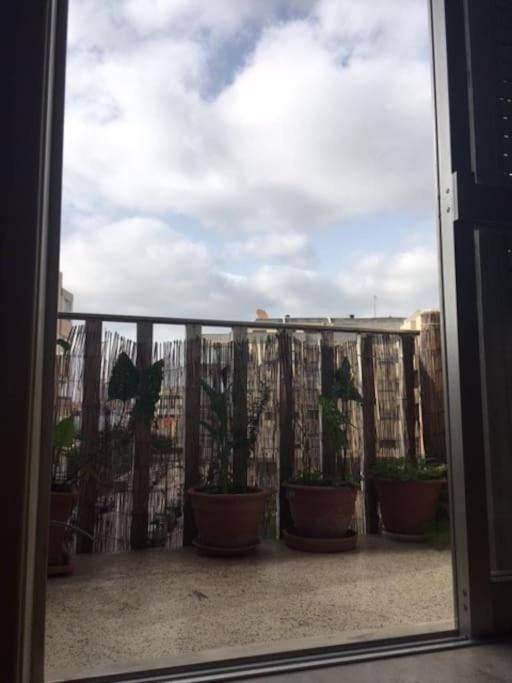 26/3 Casa Da Musica Apartment Porto Bagian luar foto